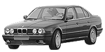 BMW E34 P0441 Fault Code