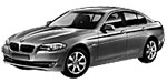 BMW F10 P0441 Fault Code