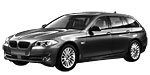 BMW F11 P0441 Fault Code